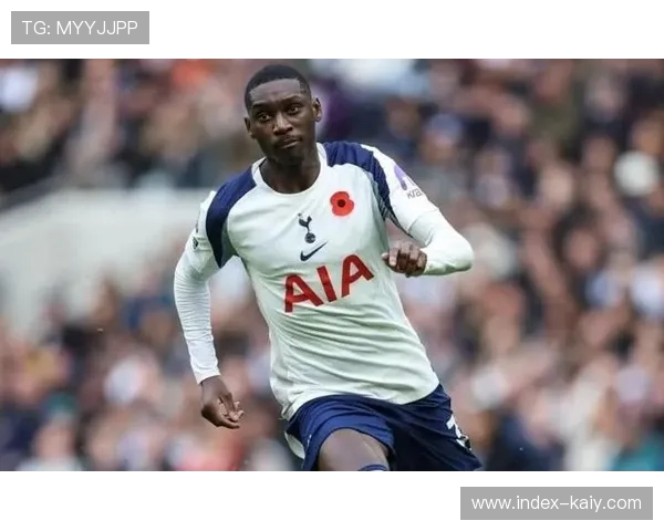 热刺伤病潮遭遇布伦特福德,客队阵容稳定性更佳。 热刺伤病潮遭遇布伦特福德,客队阵容稳定性更佳。